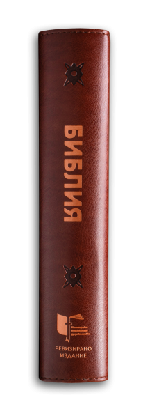 Bibbia (formato grande, bordeaux perla)