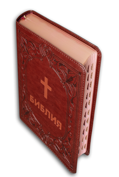 Bibbia (formato grande, bordeaux perla)